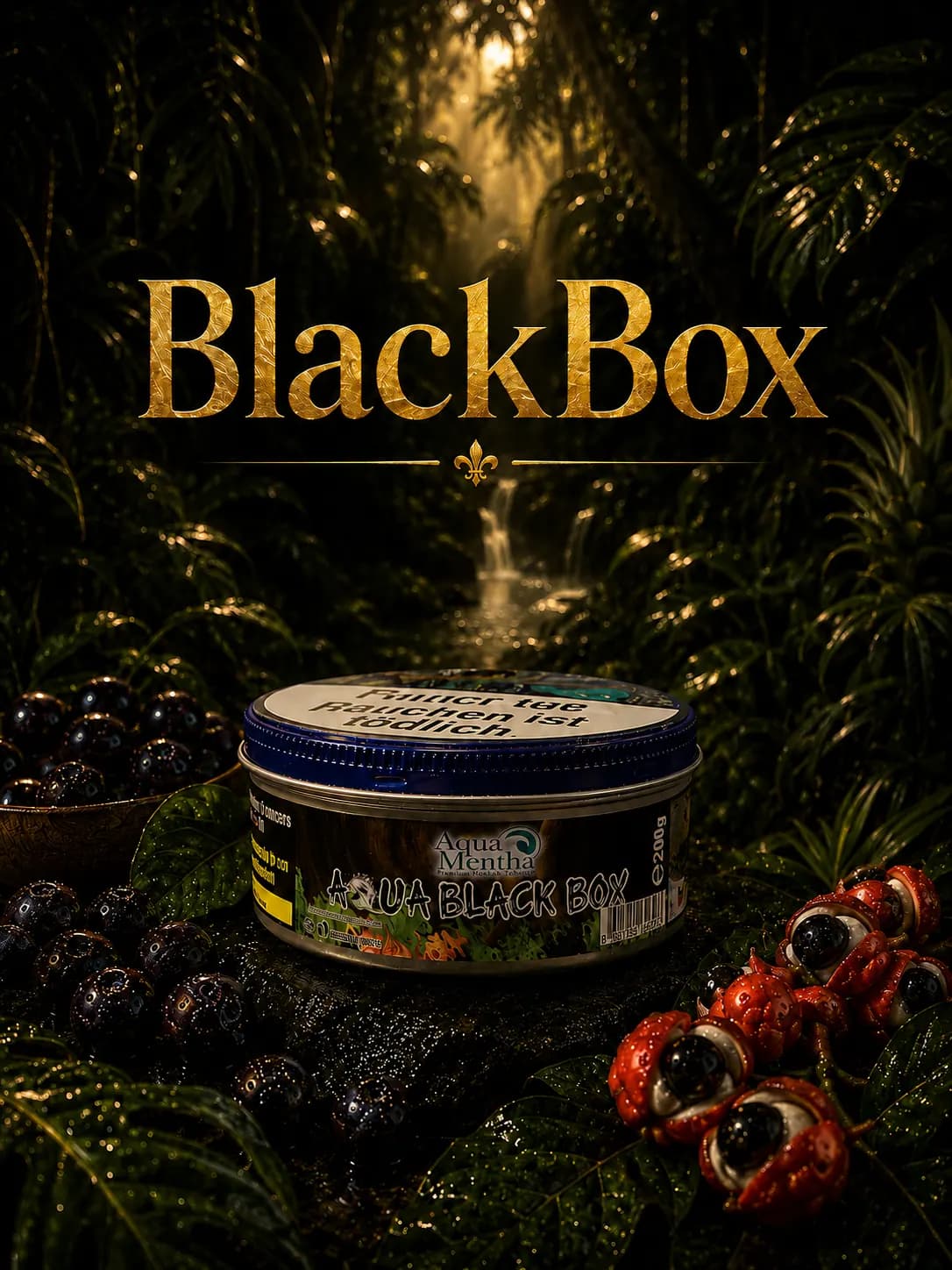 Black Box